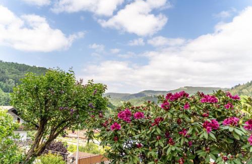 Bad Peterstal-Griesbach Apartment | Streck