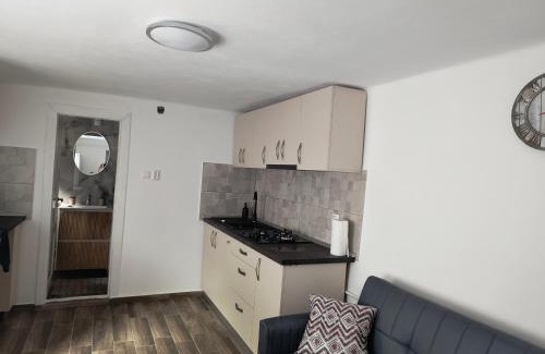 Micasasa House | Streza Cristina