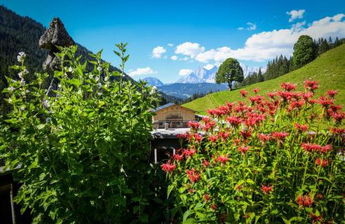 Pichl-Preunegg House | Strickhof