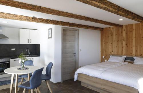 Dravograd Apartment | Studio 1111 with Sauna & Hot Tub