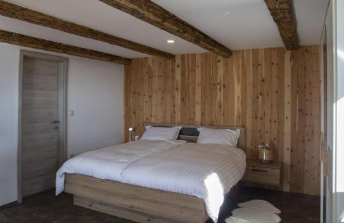 Dravograd Apartment | Studio 1111 with Sauna & Hot Tub