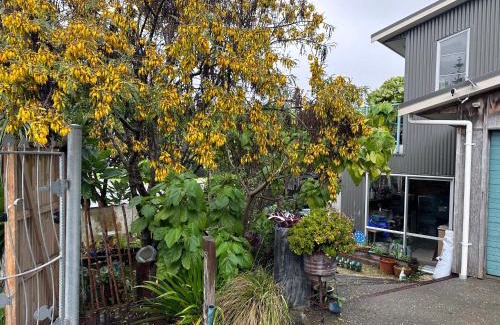 Waikanae Apartment | Studio 51 - just 30 seconds to the beach