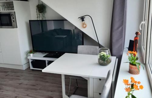 Municipality of Groningen House | Studio 76 Groningen met gratis leenfietsen