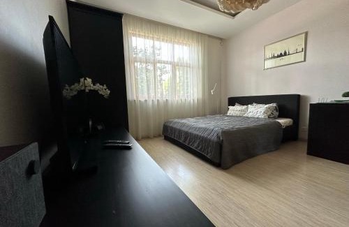 Bierini Apartment | Studio apartment in private house