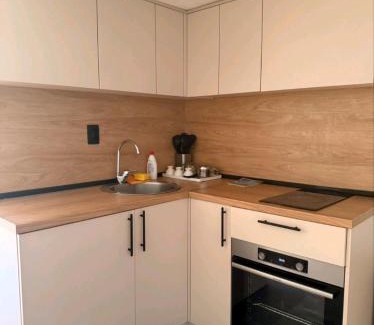 Mokra Gora Apartment | Studio apartment Milev