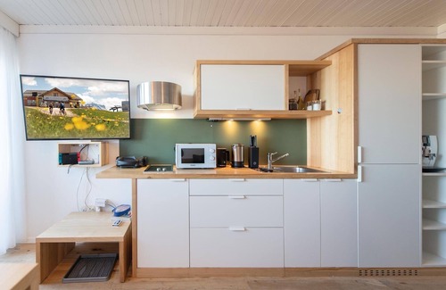 Mareo Apartment | Studio Apartment 'Mountain View Corones' at the summit of Kronplatz/Plan de Corones