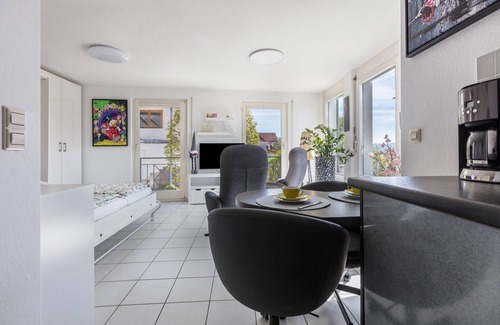 Kadelburg Apartment | Studio Apartment 'Rheinblick' with Private Terrace and Wi-Fi