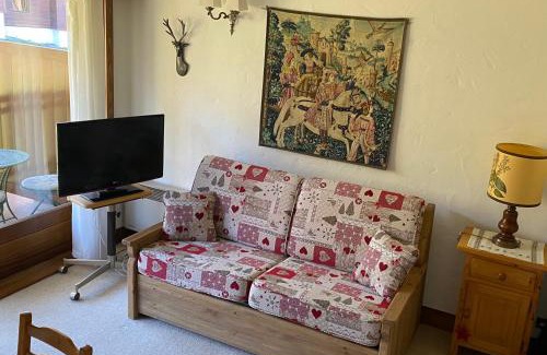 Le Planellet Apartment | Studio au pied des pistes et golf Megeve