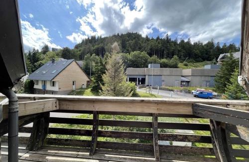 Laveissiere Apartment | Studio avec balcon au centre station, proche pistes et patinoire - FR-1-787-46