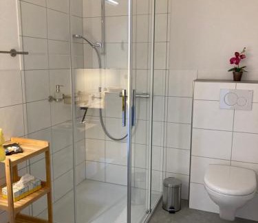 Saint Gallenkappel Apartment | Studio Bergblick