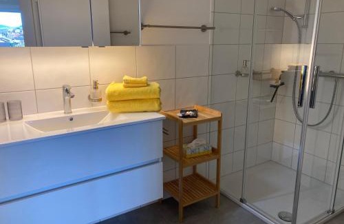 Saint Gallenkappel Apartment | Studio Bergblick