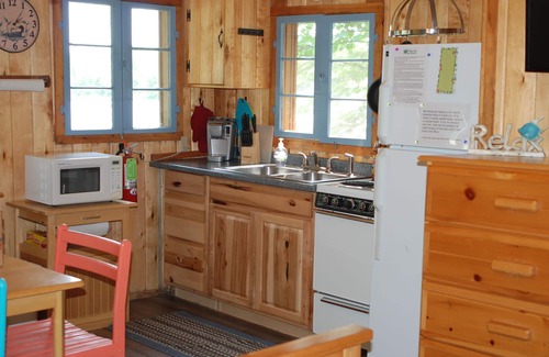 Nevis Cabin | Studio Cabin Hidden in Towering Pines within 10 feet of lake. Pets accepted!
