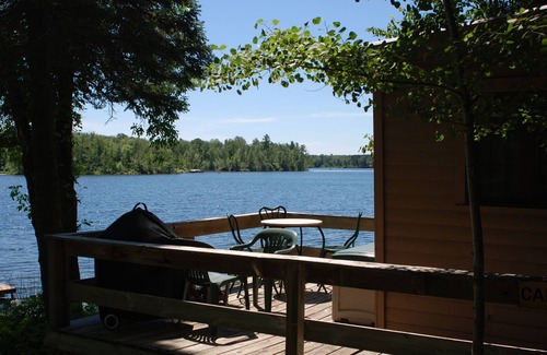 Nevis Cabin | Studio Cabin Hidden in Towering Pines within 10 feet of lake. Pets accepted!