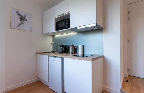 Jean Moulin - Marius Berliet Apartment | Studio-Comfort-Wet room-Street View