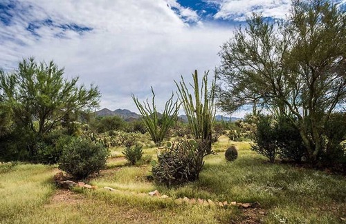Tucson Estates Apartment | Studio De Saguaro-Hot Tub Retreat at Alma Del Sol