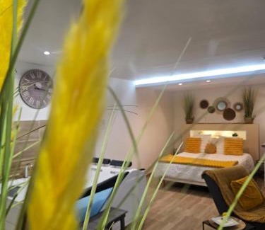 La Bassee Bed & Breakfast | Studio Design Cocon SPA privé à deux pas de Lille