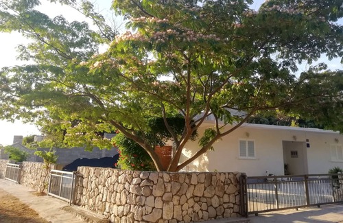 Kobas Apartment | Studio flat with terrace Cove Saplunara, Mljet (AS-4896-a)