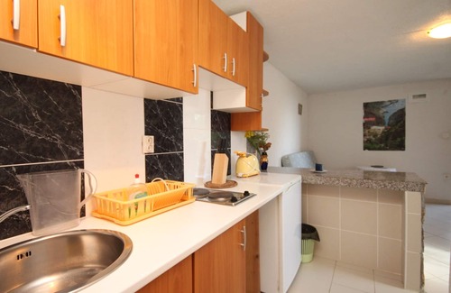 Rukavac Apartment | Studio flat with terrace and sea view Rukavac, Vis (AS-2444-a)