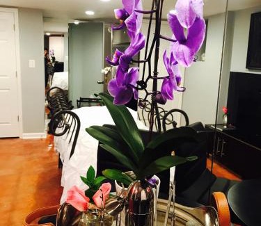 Near Northeast Apartment | Studio H St Corridor