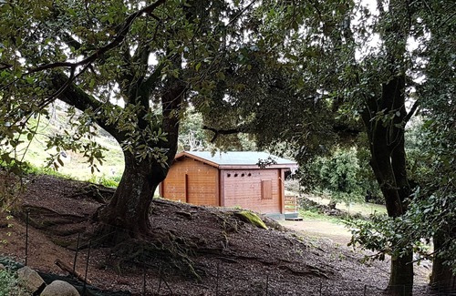Serra-di-Scopamene Ski Chalet | Studio in wooden chalet with mezzanine 1h15 from Ajaccio