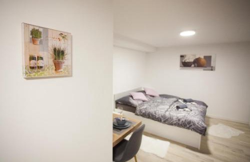 Gorje Apartment | Studio Jan