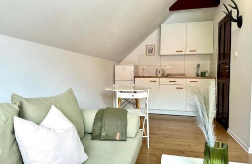 Oliwa Apartment | Studio Leśny Żubr IV