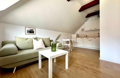 Oliwa Apartment | Studio Leśny Żubr IV