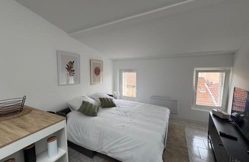 Neuville-sur-Saone Apartment | Studio le cocon aux portes de Lyon