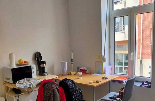 Lille-Moulins Apartment | Studio Lumineux et Confortable Lille Moulins