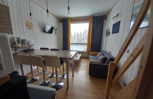 Laveissiere Apartment | Studio rénové au pied des pistes, idéal pour 4 pers, avec WiFi, animaux acceptés, casier à skis inclus - FR-1-787-54