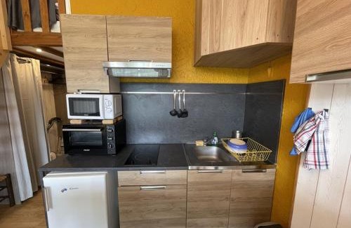 Laveissiere Apartment | Studio rénové au pied des pistes, idéal pour 4 pers, avec WiFi, animaux acceptés, casier à skis inclus - FR-1-787-54