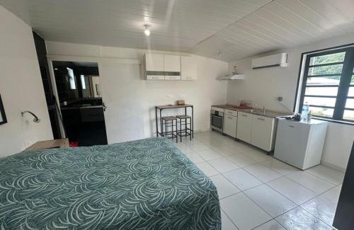 Mana Apartment | Studio RIO