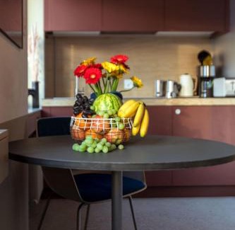 Basel City Centre Apartment | Studio Silver, Cosy-Central-City Appartment