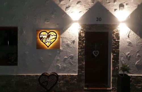 Podkoren Apartment | Studio Srce
