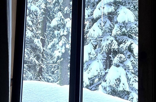 Echo Lake Cabin | Studio style cabin in Twin Bridges with Mountain View’s near Sierra Ski Resorts