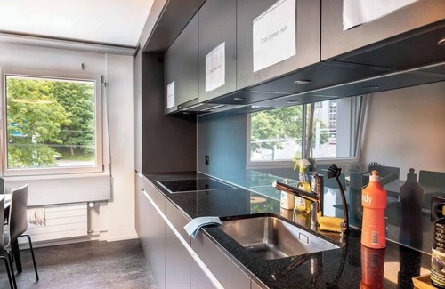 St. Gallen Apartment | Studio stylish blue (5) with shower (plus kitchen for shared use)