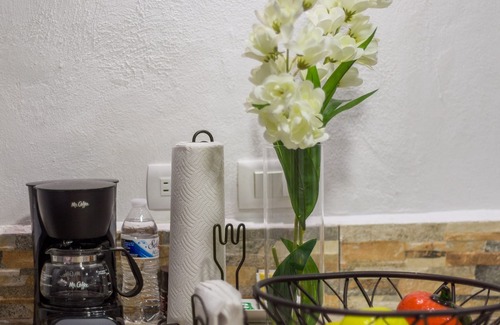 Centro Apartment | Studio w/shared plunge pool, Netflix, etc. .9 mi. from central sq.