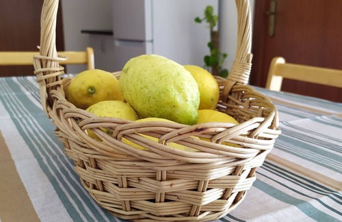 Vila Real Apartment | Studio with 2 bedrooms in the Douro region!