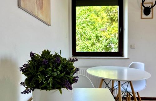 Oliwa Apartment | Studio ZUBROWA III