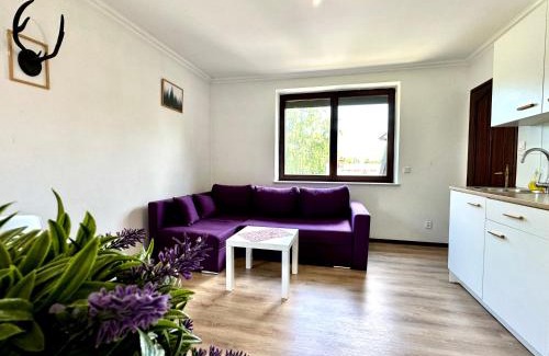 Oliwa Apartment | Studio ZUBROWA III