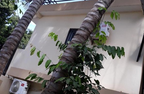 Grand Dakar House | STUDIOS EVA ZONE
