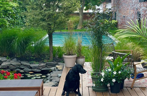 Albany Apartment | Stunning Bungalo-style Loft in Albany's Warehouse District!