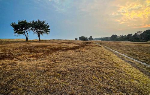 Beddingestrand House | Stunning Home In Beddingestrand
