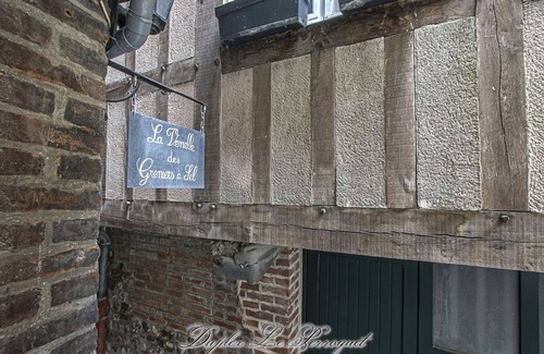 Enclos Apartment | Stunning homely 2 bdr very quiet next to Greniers à Sel - Duplex Le Perroquet ★
