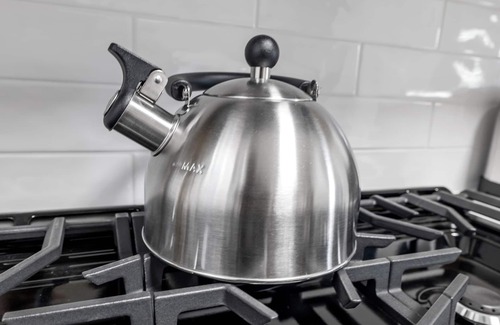 Lakewood-Balmoral Apartment | Stunning New Renovation 1BR/1BA in Andersonville
