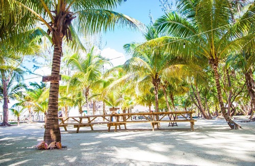 Thatch Caye Resort | Stunning Ocean Views Bungalow w/Private Walk-In Shower - A/C Included