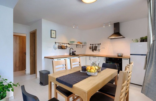 Cerovlje House | Stunning private villa for 6 guests with WIFI, private pool, A/C, TV and terrace