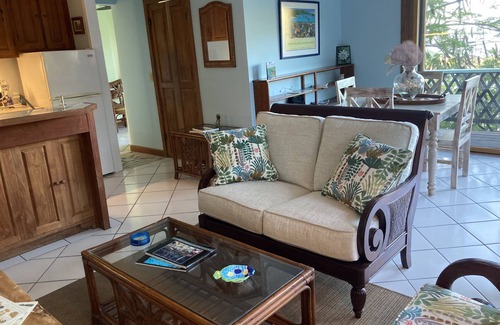 Skytop Apartment | Stunning Views! Caribbean Get Away