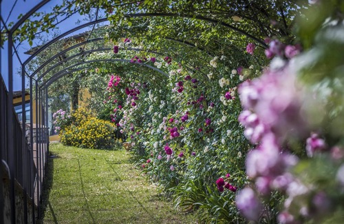 Casalguidi House | Stunning villa with pool, stunning view, large park with olive grove