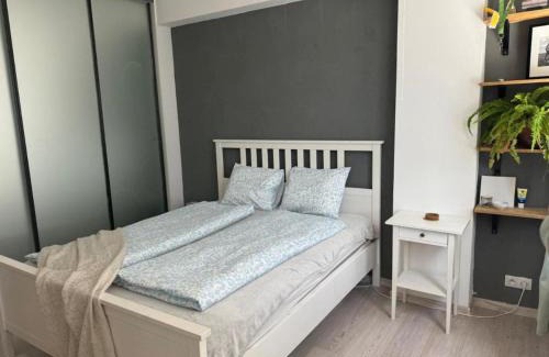 Raca Apartment | Stylish Apartment in Rača